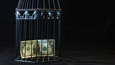 A birdcage with a one dollar bill in it