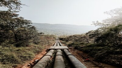 three pipelines going through wooded land