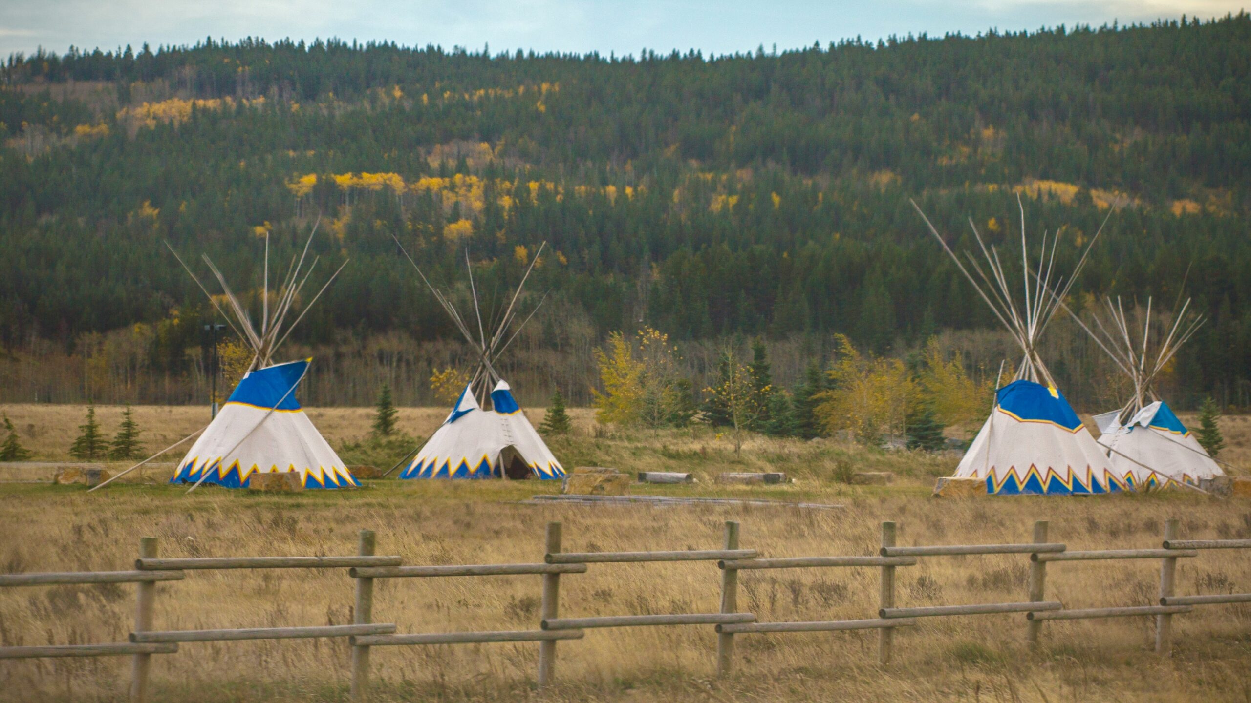 four teepees set on a landscape with hills in the background